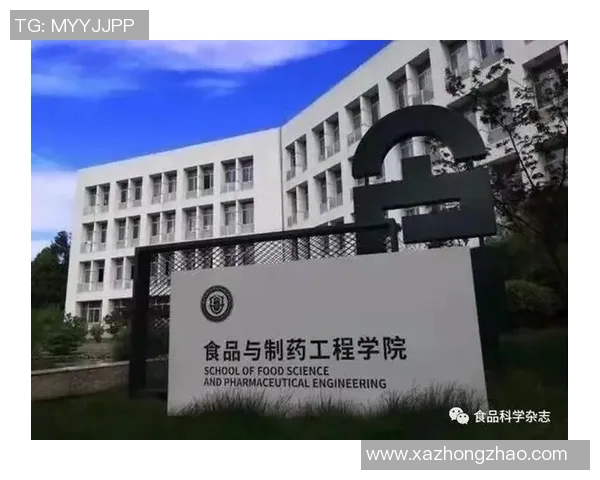 南京飞盘队个人能力深度解析与发展潜力探讨