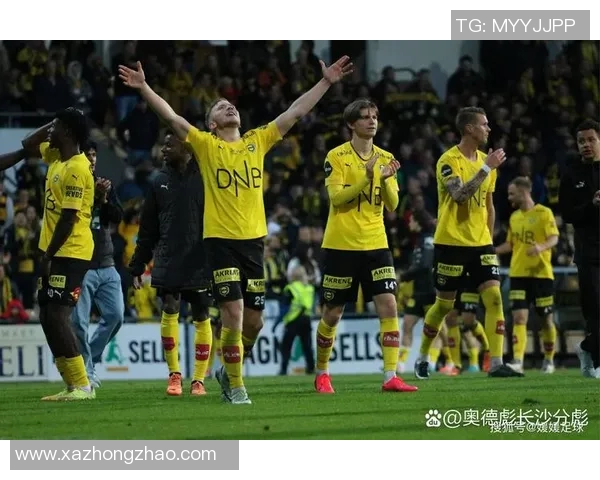 罗森博格与奥德对决前瞻分析及比赛预测详解