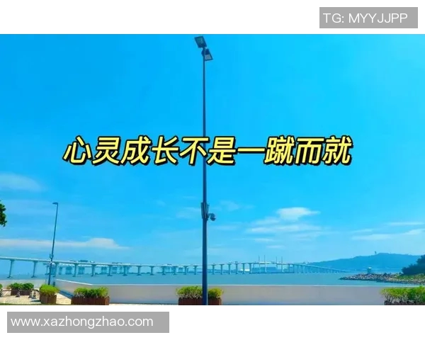 何思雨的成长之路与梦想追寻:从平凡到卓越的心灵旅程 何思雨的成长之路与梦想追寻:从平凡到卓越的心灵旅程